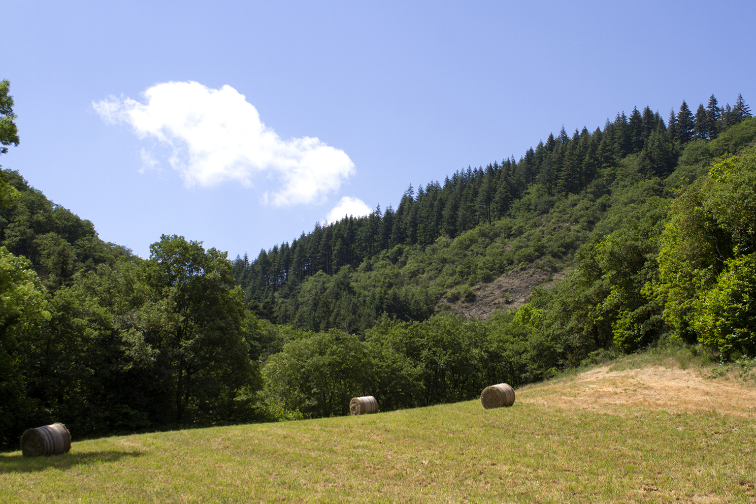 Le camping de l'auberge de Lascours à Ceilhes et Rocozels